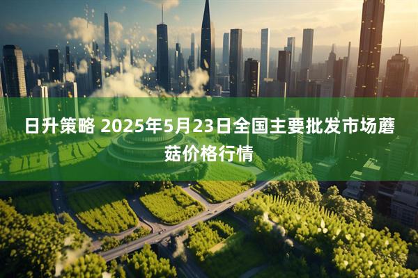 日升策略 2025年5月23日全国主要批发市场蘑菇价格行情